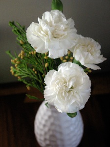 2008_12_05-carnations061